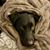 Sean P. Thompson's profile image