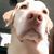 TomMaggie Cutchall's profile image
