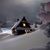 Patricia Merker's profile image