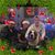 Michele Boudreau Hawkins's profile image