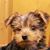 Ronnette Ovak's profile image