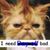 Julie Marwitz's profile image