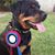 Denise Funk's profile image