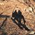 Kelly Gelling's profile image