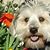 Suzie Grant's profile image