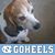 Mark Stevens's profile image