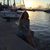 Marina Rodriguez Calvo's profile image