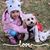 Laura Lewarchick's profile image