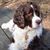 Suzy Hamme's profile image