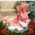 Jody Soland's profile image