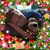 Cynthia Bretz Perkins's profile image