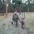 Todd Basnett's profile image