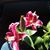 Carole Hackney's profile image