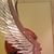 Archer Tallon's profile image