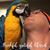 Tim Sparkes's profile image