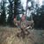 Ryan Bresch's profile image