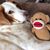 Jennifer Tilley Robinson's profile image