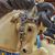Lisa Wilson Hockersmith's profile image