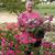 Becky Roper's profile image
