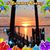 Betty Miller Lannan's profile image