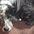 Denise Jones-Holibaugh's profile image