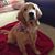 Tammy Thomas Miller's profile image
