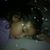 Isela Romero's profile image