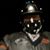 Kyle Boisclair's profile image