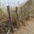 Trish Schiewe's profile image