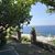 Karen N Craig Yelland's profile image