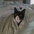 L Kay Campbell's profile image