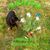 Darlene McQuaig Hodges's profile image