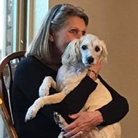 JB Wallace's profile image