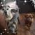 Susan M Miller's profile image