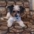 Mary Adele Cluck's profile image