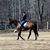 Jill Salman Keutmann's profile image