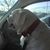 Tamy Brown's profile image