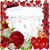 Graciela Gutierrez's profile image