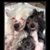Linda Burge's profile image