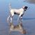Jean Warner's profile image