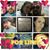Alicia Robinson's profile image