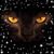 Charlene Lee's profile image