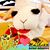 Nancy Franklin's profile image