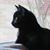 Josephine H. Jensen's profile image