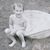 Lee Hawkins's profile image