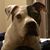 Sarah Jayne McKinney's profile image
