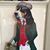 Ron Ausman's profile image