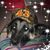 Pam Stout's profile image