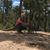 Michele Grzesiek Rankin's profile image