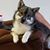 Stephanie Williams's profile image